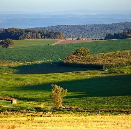 Apartment Penthouse Mosel Hunter