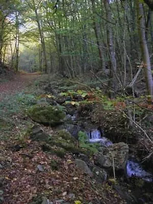 Penthouse Mosel Hunter Gornhausen