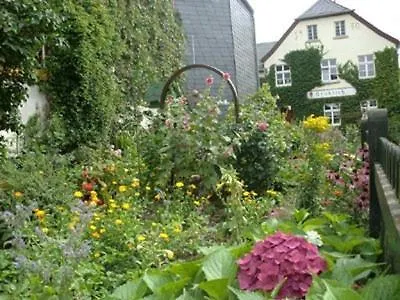 Penthouse Mosel Hunter Gornhausen