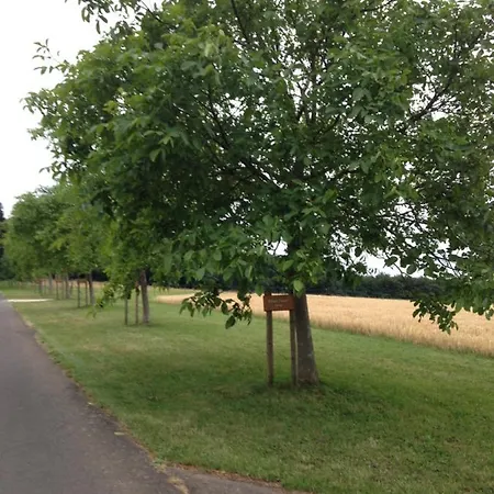 Penthouse Mosel Hunter