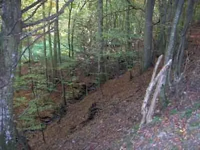 Penthouse Mosel Hunter * Gornhausen