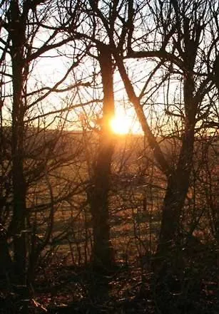 Penthouse Mosel Hunter *