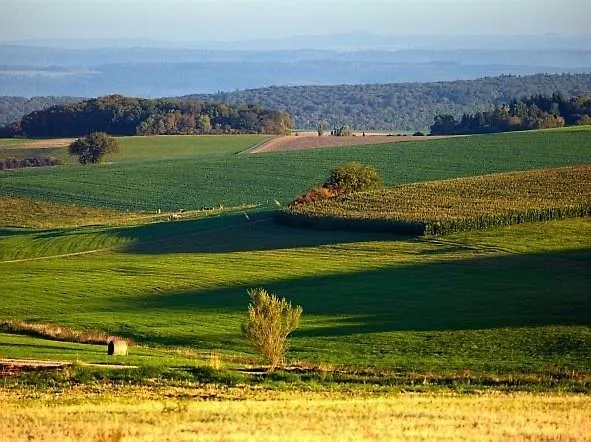 Appartamento Penthouse Mosel Hunter