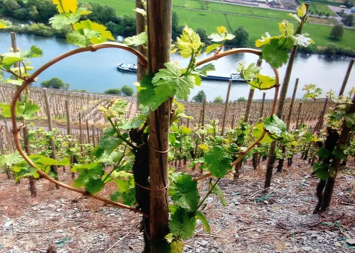 Penthouse Mosel Hunter Appartamento *