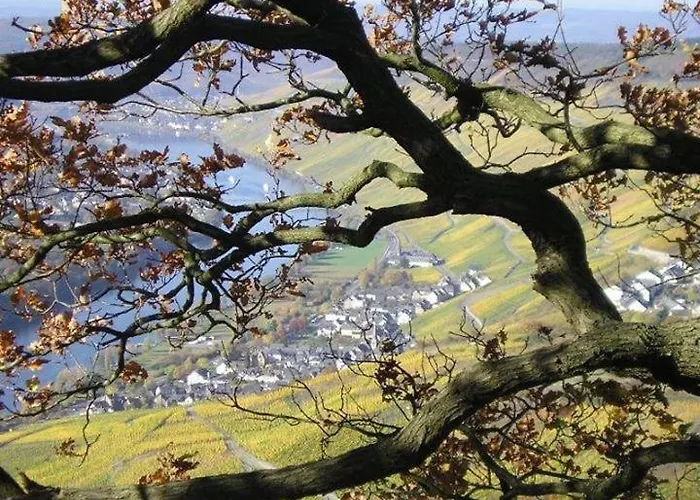 Appartamento Penthouse Mosel Hunter Gornhausen