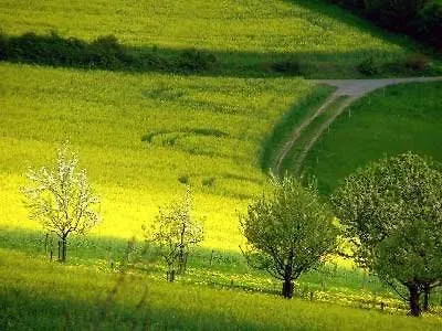 Appartamento Penthouse Mosel Hunter