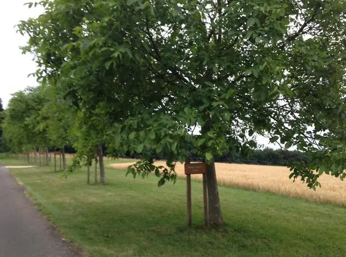 Penthouse Mosel Hunter